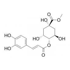 甲基 4-咖啡?？崴狨? width=